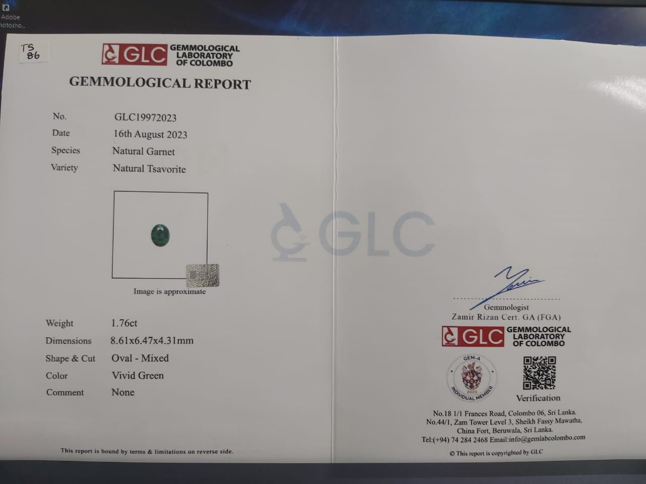 Tsavorite 1.76ct Vivid Green Oval EC