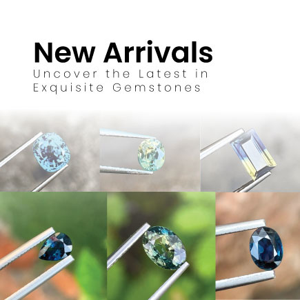 New Arrivals